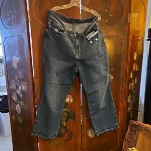 Judy Blue Los Angeles Women's Denim Jeans